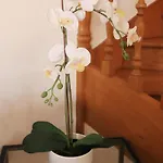 Semesterbostad Casa Vazquez