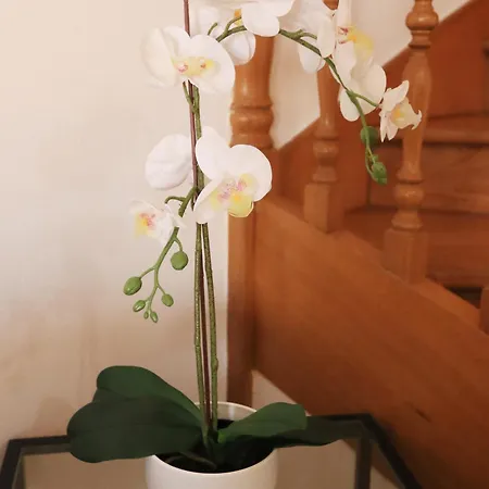 Hébergement de vacances Casa Vazquez