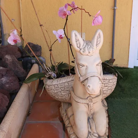 Casa Vazquez * Costa Del Silencio