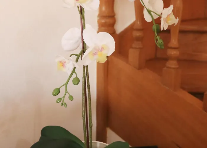 Nyaraló Casa Vazquez